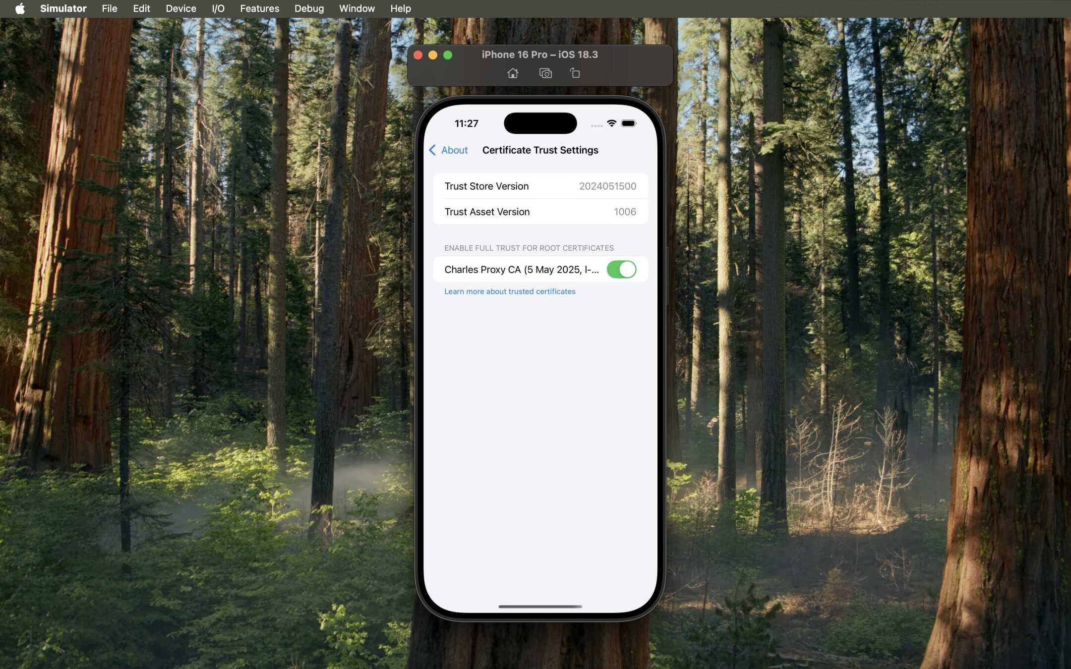 iOS Simulator screen showing the Charles Proxy certificate switch turned on.